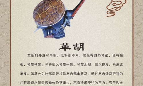 脂肪层在肌肉层上面吗-肌肉在脂肪下面吗网- 脂肪是长在肌肉外面的吗知识,分享脂肪在肌肉的哪一层图