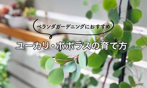 肌肉在脂肪下面吗网- 脂肪是长在肌肉外面的吗知识,分享脂肪在肌肉的哪一层图