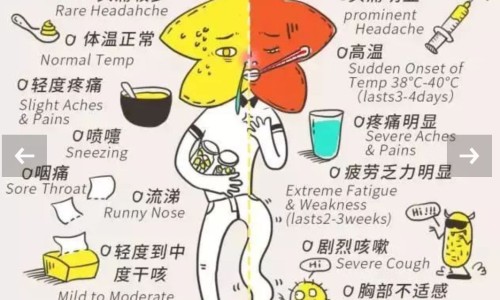 脂肪层在肌肉层上面吗-肌肉在脂肪下面吗网- 脂肪是长在肌肉外面的吗知识,分享脂肪在肌肉的哪一层图