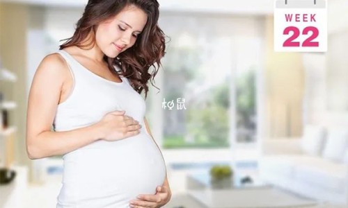 肌肉在脂肪下面吗网- 脂肪是长在肌肉外面的吗知识,分享脂肪在肌肉的哪一层图